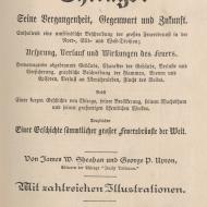 Title Page of Sheahan and Upton, Der Grosser Brand, 1872 (ichi-63825)