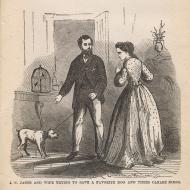 J.N. Janes and Wife Trying to Save a Favorite Dog and their Canary Birds; from Frank Luzerne, The Lost City!, 1872 (ichi-63831)