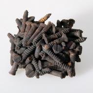 Fused Screws (ichi-64558)