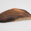Wood Fragment from O'Leary Barn (ichi-64489)