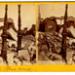 Ruins of Crosby's Opera House; Stereograph, 1871 (ichi-02767)