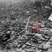 Aerial View Michigan Ave and Oak Street Beach; Photograph, ca. 1925 (ichi 05789_v2)