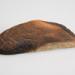 Wood Fragment from O'Leary Barn (ichi-64489)